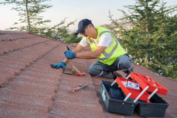 Best Roof Leak Repair  in Matamoras, OH